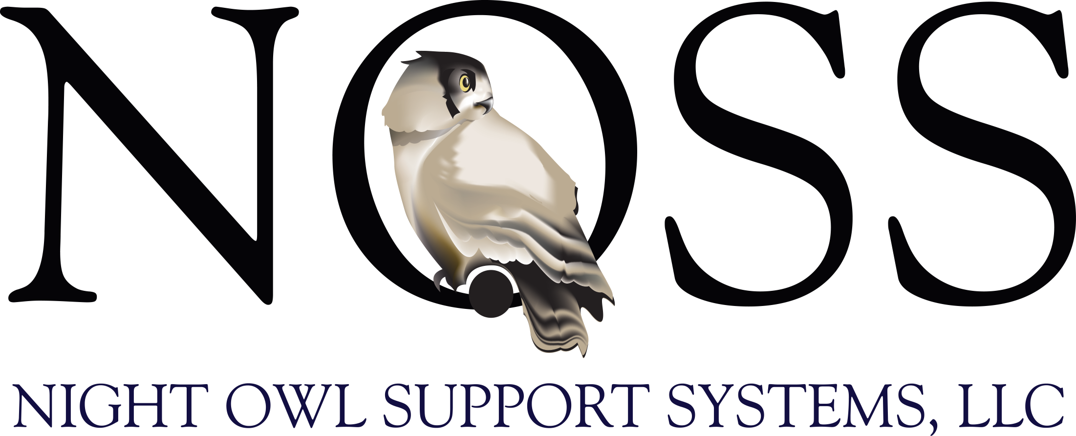 Night Owl Support Systems