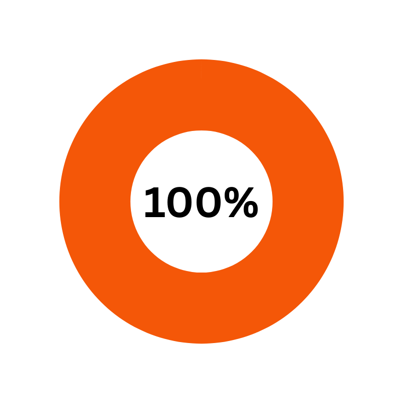 pie chart representing 100%
