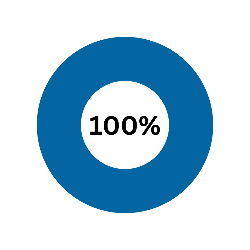 pie chart representing 100%