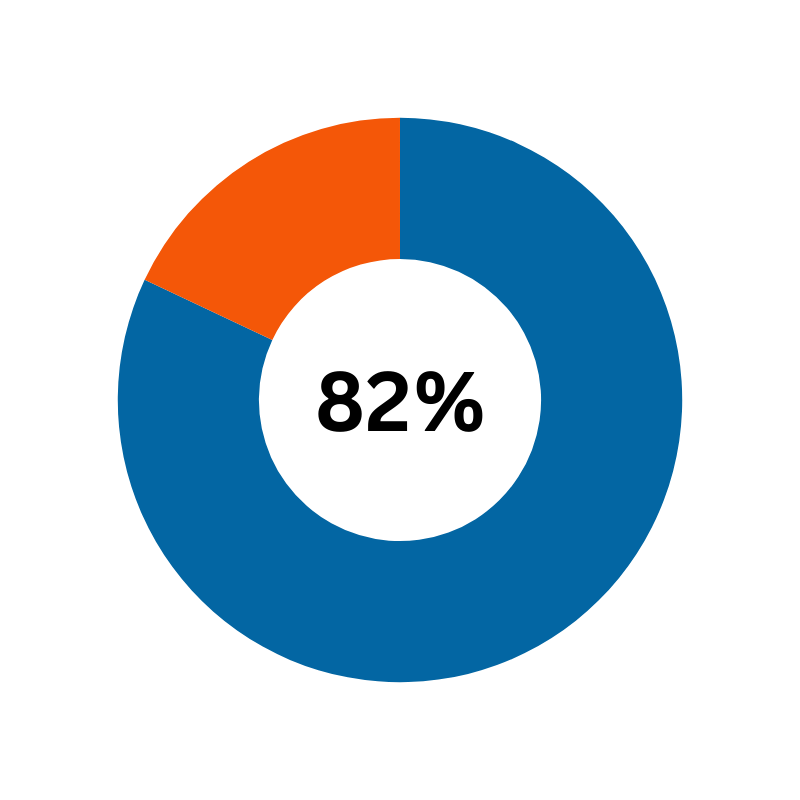 pie chart representing 82%