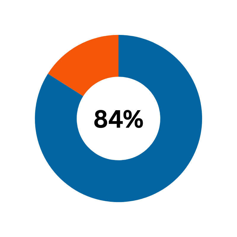 pie chart representing 84%