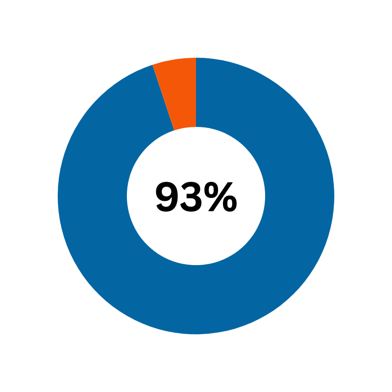 pie chart representing 93%