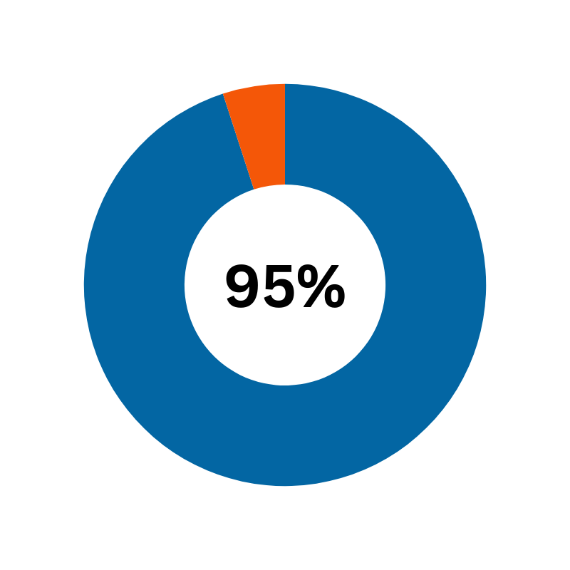 pie chart representing 95% 